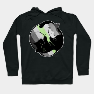 Agender Yin Yang Cat Hoodie